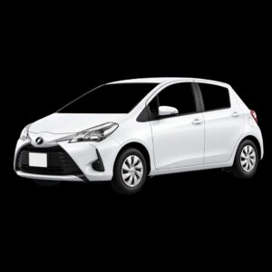 Front Window Screen USA Imported Spectrum Removable Tints (Select your Vehicle)